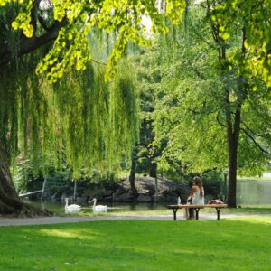 Ein Park mit Laubbäumen, einer Trauerweide und einem Teich mit zwei Schwänen. Eine Frau sitzt auf einer Bank und blickt auf den Teich.